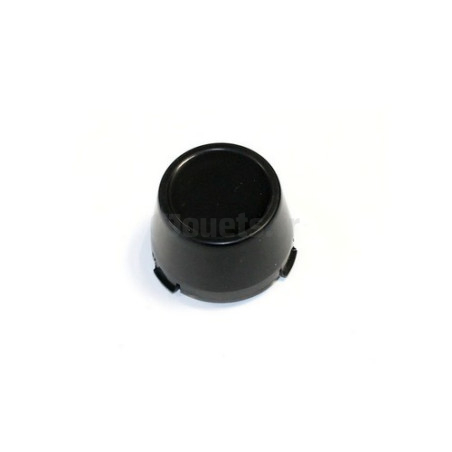 Cache de roue pour Buggy RSX 12 Volts