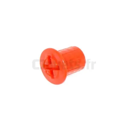 Vis Femelle Rouge Feber FEBER