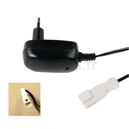 Injusa 6-volt acculader