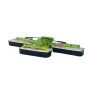 Segadora CLAAS 8550C BRUDER 02218
