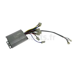 Besturingskast voor Pocket Quad Electric