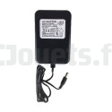 12 Volt 1000 mAh Battery Charger For Electric Vehicles