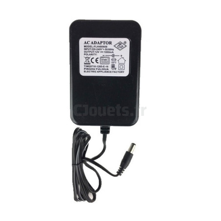 12 Volt 1000 mAh Battery Charger For Electric Vehicles