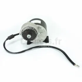 Engrenage + moteur 24 Volts pour quad Hunter Injusa INJUSA