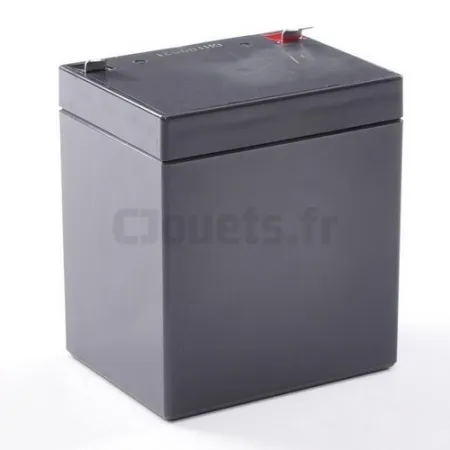 12 volt 4,5 Ah batterij