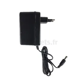 Chargeur de batterie 6 Volts 1000 mAh Pour Véhicules Electriques