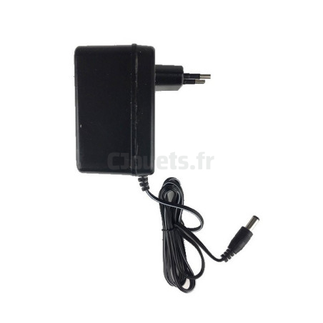 Battery charger 6 Volts 1000 mAh For Electric Vehicles