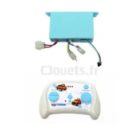 Boitier de contrôle 2.4 Ghz 12 Volts