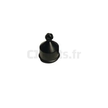 Cabezal para soporte de carril Carrera