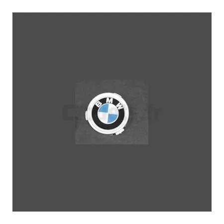 BMW X6 M Elektrische wieldop voor kinderen 12 Volt