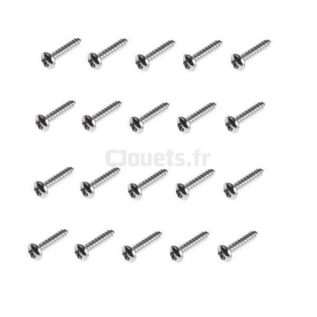 20 Screws 4 x 20 mm