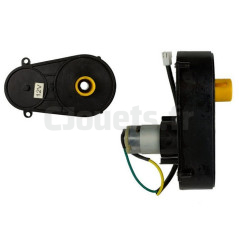 12 volt steering motor L9376