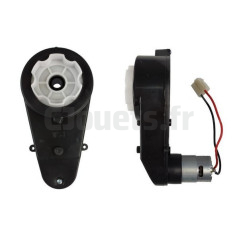 Gear with 6 volt 15000 RPM motor L9369