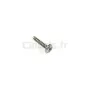 Tornillos 4.5x20mm
