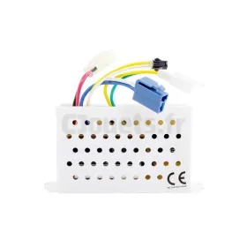 Elektronische voertuigbesturing 12 volt