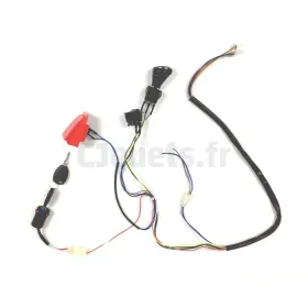 Arnés eléctrico para vehículos eléctricos