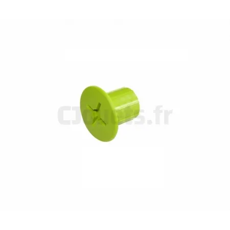 Vis Femelle verte Smoby SMOBY