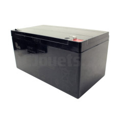 copy of 12 Volt 12AH Batterie für Elektrofahrzeuge geeignet PR0020594-01