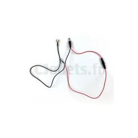Toma con cables para vehículos eléctricos 12 voltios