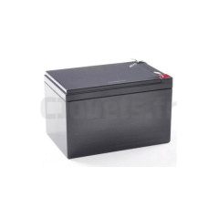 12 Volts 12AH battery adaptable for electric vehicles BP12-12