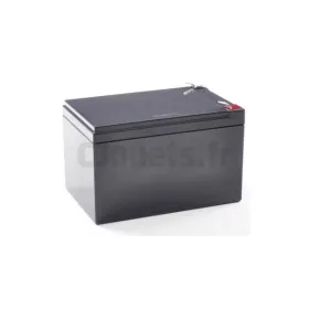 Batterie 12 Volts 12AH pour véhicules électriques Sans marque