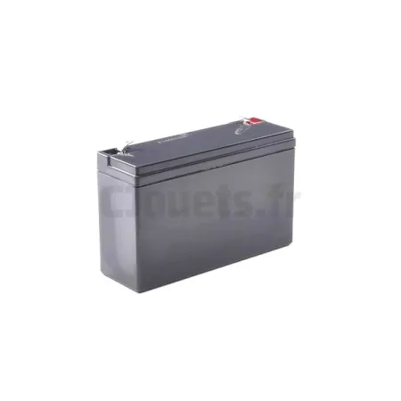 6-volt 12Ah batterij