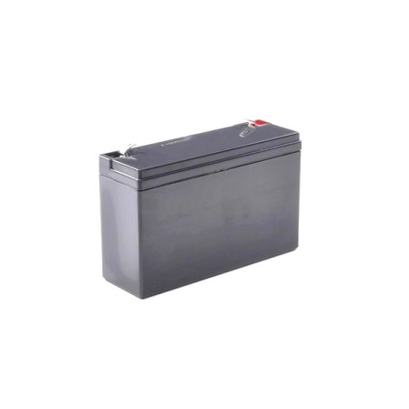 6 Volt 12Ah battery BP6-12