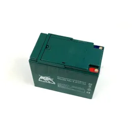 12 Volt 45Ah accu voor Geco strand Anaig of Kenwee