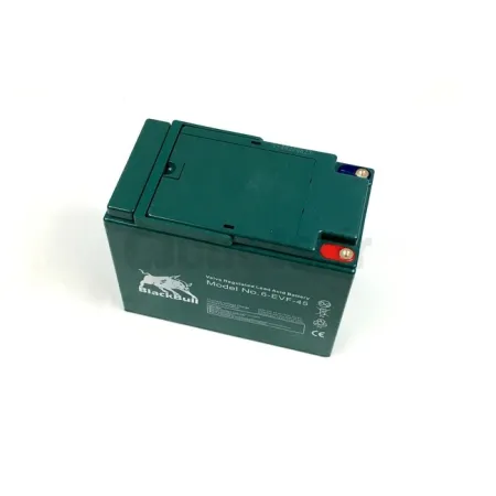 12 Volt 45Ah accu voor Geco strand Anaig of Kenwee