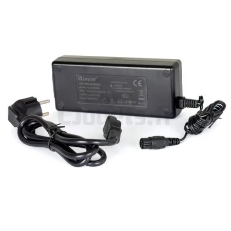 Injusa 24-volt lithium acculader