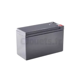 Aanpasbare 12 Volt 9Ah batterij voor elektrische voertuigen