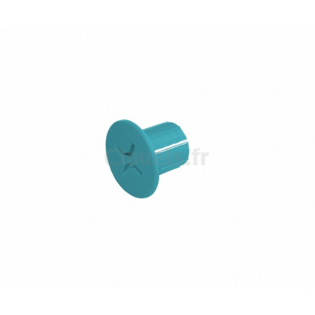 Blue female plastic screw Smoby
