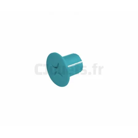 Vis Femelle bleue Smoby SMOBY