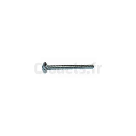 Schroef 6 x 70 mm voor KS Smoby glijder 310218