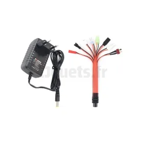 Cargador de batería universal 2,4V 3,6V 4,8V 6V 7,2V 8,4V 9,6V 10....