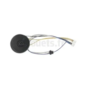Faisceaux radio pour RZR 900 12 Volts Peg Pérego PEG-PEREGO