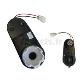 Getriebe + Motor rechts für Vespa GTS 12 Volt