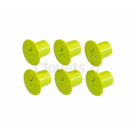 6 Vis Femelle verte Smoby SMOBY