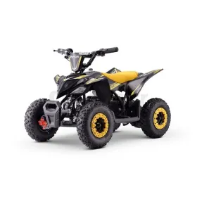 36V Raptor 800W Children's Electric Quad Bike Sans marque