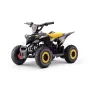 Detská elektrická štvorkolka 36V Raptor 800W výkonná | Detská štvorkolka 36V batéria