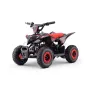 Mini Quad Electrique pour Enfant 36V Raptor 800W Sans marque