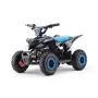 Mini Quad Electrique pour Enfant 36V Raptor 800W Sans marque