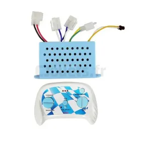 Boitier de contrôle 2.4 Ghz avec télécommande Sans marque
