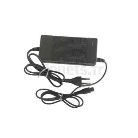 Chargeur de batterie pour Tricycle Drift 360 enfants Sans marque