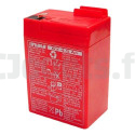 Batterie Feber 6 Volts 4,5Ah FEBER