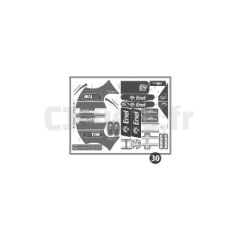 Selbstklebende Dekorationen Ducati desmosedici 6V MMEV0742