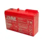 Feber 6V 12Ah batterij