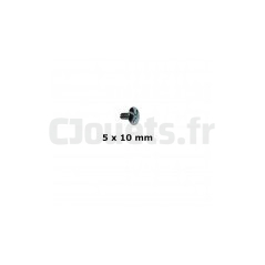 Screw 5x10 mm For Tour Aventure Smoby 310234 A705TPL050010