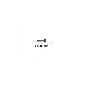 Schroef 5 x 25 mm Voor Smoby