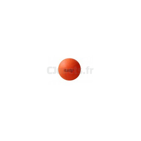 Ballon De Basket Pour Fun Center 310059